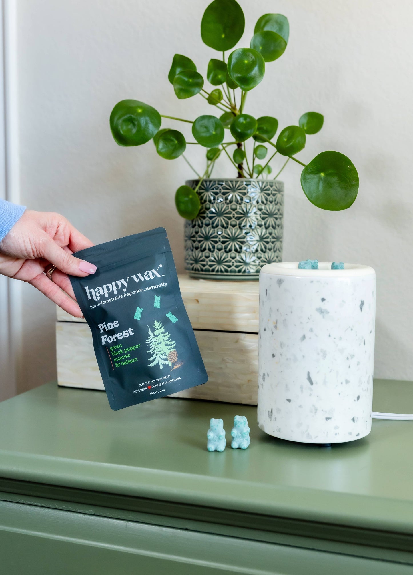 Pine Forest Wax Melts - Eco Tin (4 oz) or 8 oz Pouch