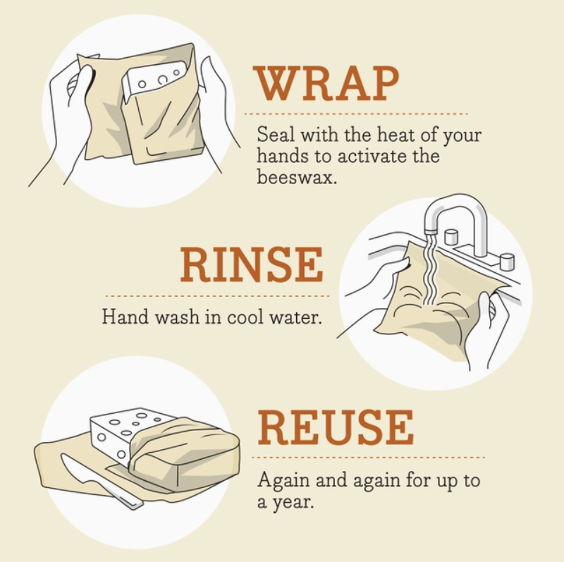 Bee's Wrap, Lunch 3 Pack - Oceans Print
