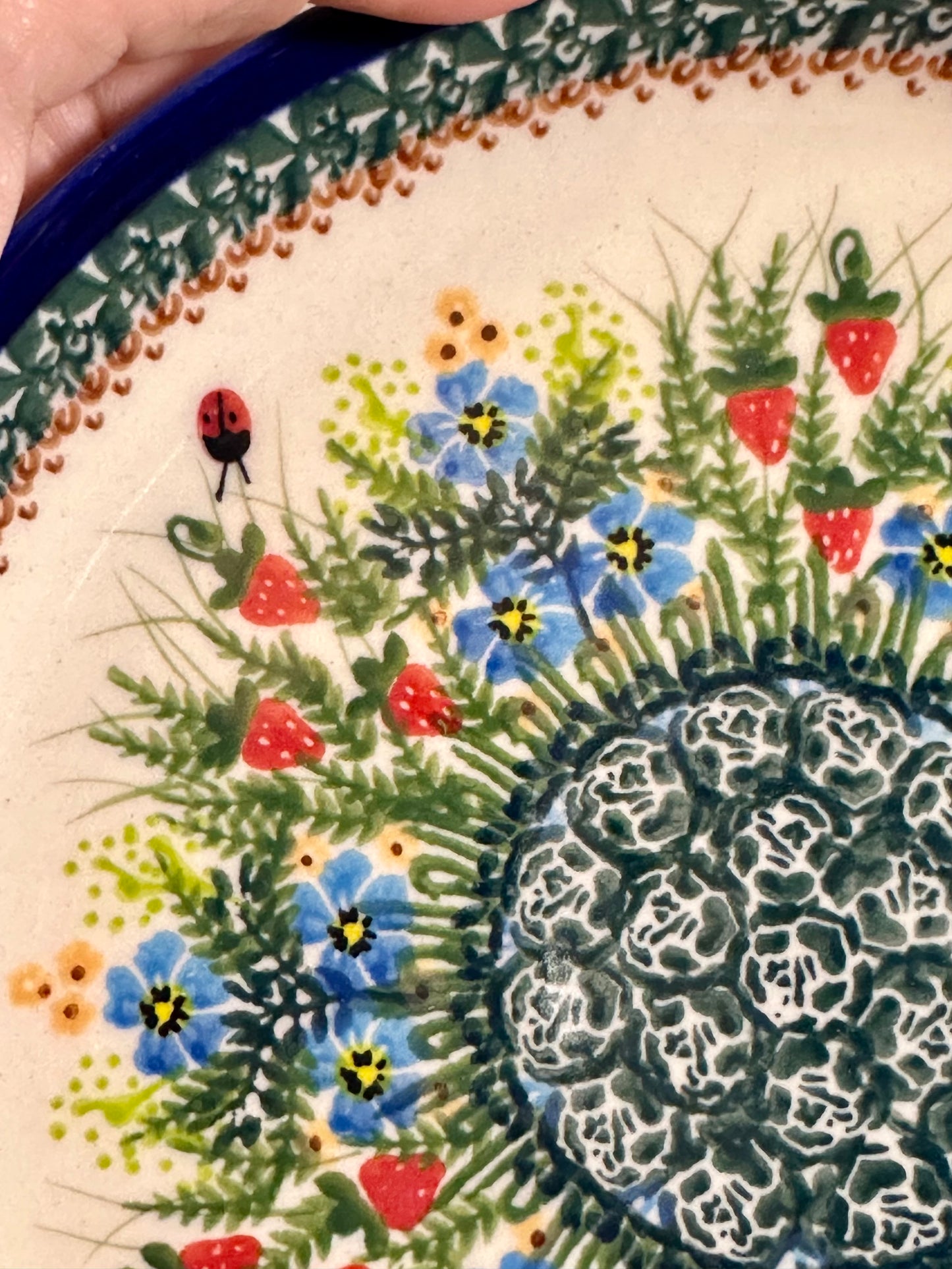 Kalich, Unikat Art Level 1, Strawberry, Flowers, Ladybugs, P20 Lipped Plate
